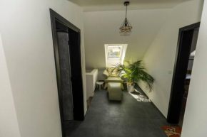 New stylish flat with private fitness near city center in family house next nature, very quiet place in rezident area, Hradec Králové